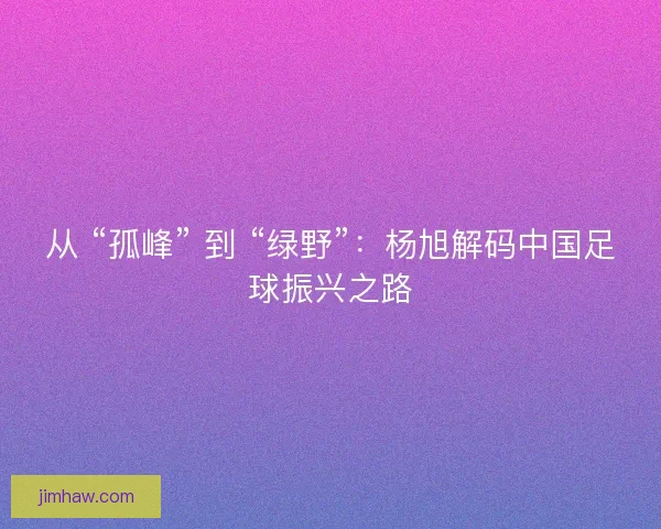从 “孤峰” 到 “绿野”：杨旭解码中国足球振兴之路